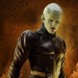 Dragonvall Evolution