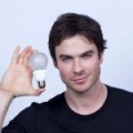 Cree LED Light Bulb