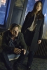 Smallville Beauty & The Beast - Stills S.01 