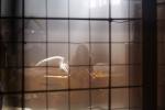Smallville Bitten S1 Stills 