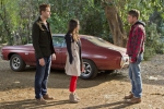 Smallville Hart of Dixie 