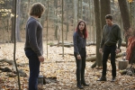 Smallville Bitten - Stills S.02 