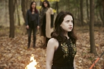 Smallville Bitten - Stills S.02 