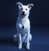 Smallville Titans - Saison 2 - Photos Promo 
