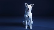 Smallville Titans - Saison 2 - Photos Promo 